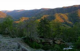 There are sounds bad because the noun that follows it, kitchen, is singular. Black Mountain Kentucky Wikipedia