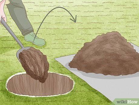 How to Dig a Hole: 12 Steps (with Pictures) - wikiHow