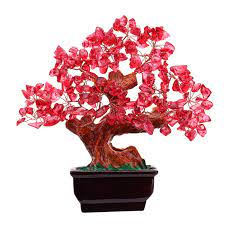 Since it is a slow grower, it is also a good choice for growing in dish gardens or terrariums. Feng Shui Red Crystal Money Tree Bonsai Style Decoration For Wealth And Luck By Parma77 Mart Amazon In Home Kitchen