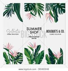 Find & download free graphic resources for tropical flower. Vector Vertical Set Vector Photo Free Trial Bigstock