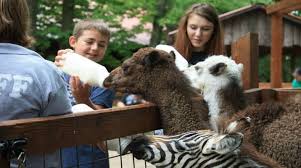 Living Treasures Animal Park Jones Mills Animals Animal Experiences Zoo Animals
