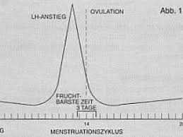 Die besten ovulationstests im vergleich. Ovulationstest Schwanger Werden Mit Lh Test Eisprungtest 9monate De