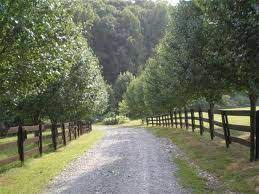 Check spelling or type a new query. Pin By Brittany Scholl On A Home To Look Forward To Beautiful Driveways Driveway Landscape Farm Entrance