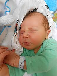 Fotogalerie: miminka 5. týdne 2018