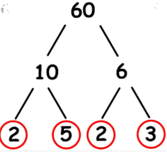 What are the factors of 60. Write The Prime Factors Of 60 By Factor Tree Method Brainly In
