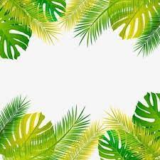 Forest Tropical Leaves And Leaf Plant Palm Frame Plant Clipart Tropical Vector Png And Vector With Transparent Background For Free Download Tropical Leaves Plants Leaves