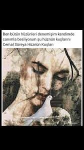Ben Butun Huzunleri Denemisim Kendimde Canimla Besliyorum Su Huznun Kuslarini Cemal Sureya Kus Felsefe