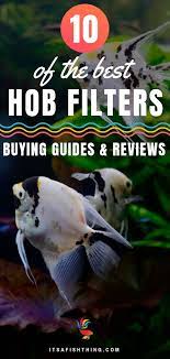 10 Best Hob Hang On Back Filters In 2020 Buying Guide And Reviews Fish Care Fish Tank Plants Aquarium Set