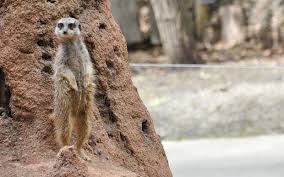If you're looking for a convenient place to stay, check out the 59 hotels and other accommodations you'll find within a mile. 25 Kid Friendly Animal Farms Petting Zoos West Michigan Families Will Love Grkids Com