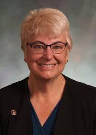 Here's who's running to represent Northern Colorado at the state capitol,  so far