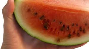 How to choose the right watermelon how do you know a water melon can be eaten? How To Tell If A Watermelon Is Bad Or Rotten What About Watermelon