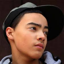 Trauma, Emotional Dysregulation and Delinquency