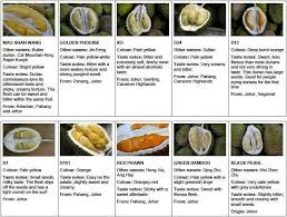 Durians Durian Vegan Recipes Easy Food For Thought