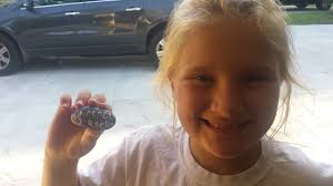 Found this in my driveway🤔🤔 Any idea's??