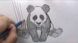 Realistic panda drawing in 4 steps with photoshop. How To Draw A Panda Youtube
