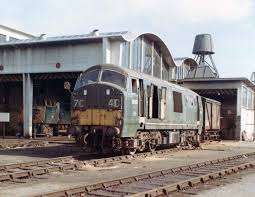 D6315 Stands At Plymouth Laira Depot On 29th Aug 1969 With D1020 Western Hero Just Visible Inside The Shed Fred Diesel Locomotive Old Trains Model Railway