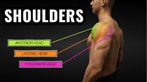 Shoulder Workout Routine 4 Exercises For Bigger Delts