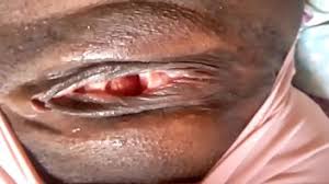 Body worlds — (german title: Free Abena Ebony Porn Videos Free Porn Videos Pornhat Tv