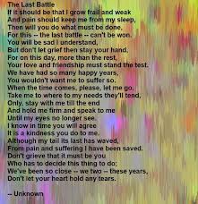 Pin By Bailey Puggins The Pug On St Bernard Dog A True Saint Dog Grief Pet Poems Words