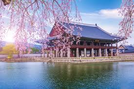 She manages the family finances and investments, and she was way, way, way more qualified to comment on things like student loans or expected contribution. International Perspective A British Student In South Korea Student