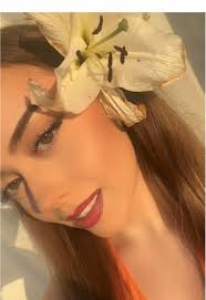 #flower #lys #lillies #sunset #summer #greeneyes #inspo