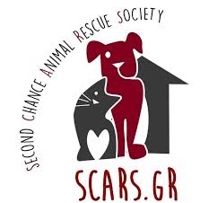 Every pet needs a home. Scars Second Chance Animal Rescue Society Greece Home Facebook