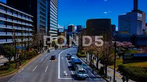 Tulsa zoo is one of the must to see attraction location. Https Www Pond5 Com Stock Footage Item 118992252 Happy Male Pharmacist Showing Allright Sign And Stumb Smilin 2020 02 17t09 18 58 00 00 Https Images Pond5 Com Happy Male Pharmacist Showing Allright 118992252 Prevstill Jpeg Https Videos