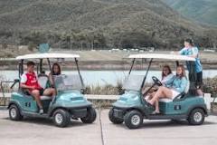 Image result for what are the dimensions of a golf cart seat