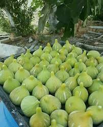 Pin On Fruits Et Legumes
