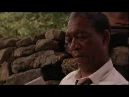 The Shawshank Redemption Ending The Shawshank Redemption Movie Scenes Good Movies