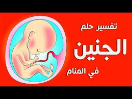 تفسير حلم الجنين في المنام Stuff To Buy