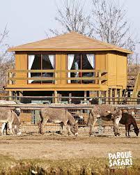 Encuentra precios y revisa avisos de propiedades detallados para rancagua en yapo.cl. Parque Safari Te Gustaria Pasar Una Noche En El Corazon Facebook