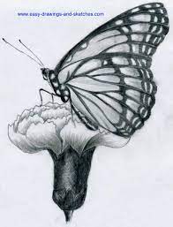 Butterfly Pencil Drawings Mariposas Dibujos A Lapiz Como Dibujar Cosas Mariposas A Lapiz