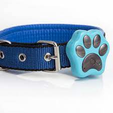 the paw tracker pet gps pet tracker dog tracker