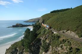 May 2021 may 2021 next month > calendar grid 823568; Die Seebahnfahrt Von Dunedin 2021 Dunedin Otago Peninsula Tiefpreisgarantie