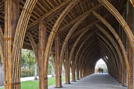 Saya disuruh membuat name tag dengan fotonya saya bersama tukang bakso. Bamboo Conference Hall Bamboo Architecture Bamboo Structure Bamboo Building