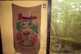 Wer mit cannabis handelt, kann sogar zum tode verurteilt werden. Sri Lanka Lesotho Island Und Andere Kleine Lander Die Grosse Cannabis Pioniere Werden Wollen