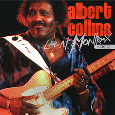 Image result for Albert Collins