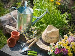 Backlinks को monitor कैसे करें. à¤à¤ªà¤¨ à¤ à¤à¤¨ à¤ à¤° à¤¡à¤¨ à¤ à¤ à¤¸ à¤à¤° à¤® à¤ à¤¨ Tips For Kitchen Garden Hindi Boldsky