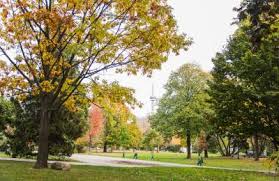 This is dangerous and selfish behaviour. The Best Takeout To Eat In Trinity Bellwoods Park Destination Toronto