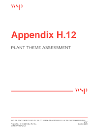 Image result for Thesium multiramulosum