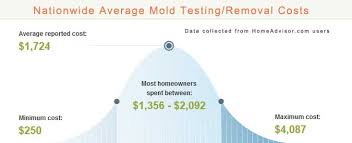 Image result for mold removal pictures