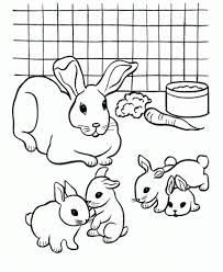 Check spelling or type a new query. 30 Free Bunny Coloring Pages Printable