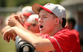 Baseball: Northwest Jersey Athletic Conference Player of the Year and other  postseason honors, 2016