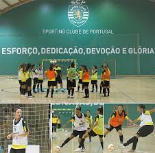 Sporting clube de portugal has a professional futsal team based in lisbon, portugal, since 4 march 1985, and plays in portuguese futsal first division. Camarote Leonino