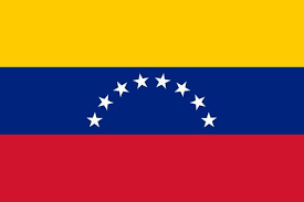 Venezuela World Country National Flags 18x12 Vinyl Print Poster Venezuela Flag Venezuelan Flag Flag