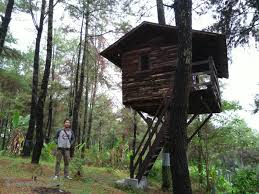 Check spelling or type a new query. Rumah Pohon Taman Dayu