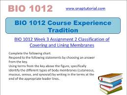 Bio 1012 Course Experience Tradition Ppt Download