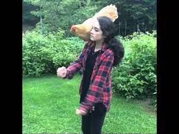 Bring your kleenex, you may shed a tear or two. Girl Dancing With Chicken By Shan Dude Coub The Biggest Video Meme Platform