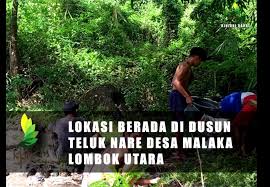 Secara harfiah proposal berasal dari kata propose (bahasa. Galeri Program Investasi Kehutanan